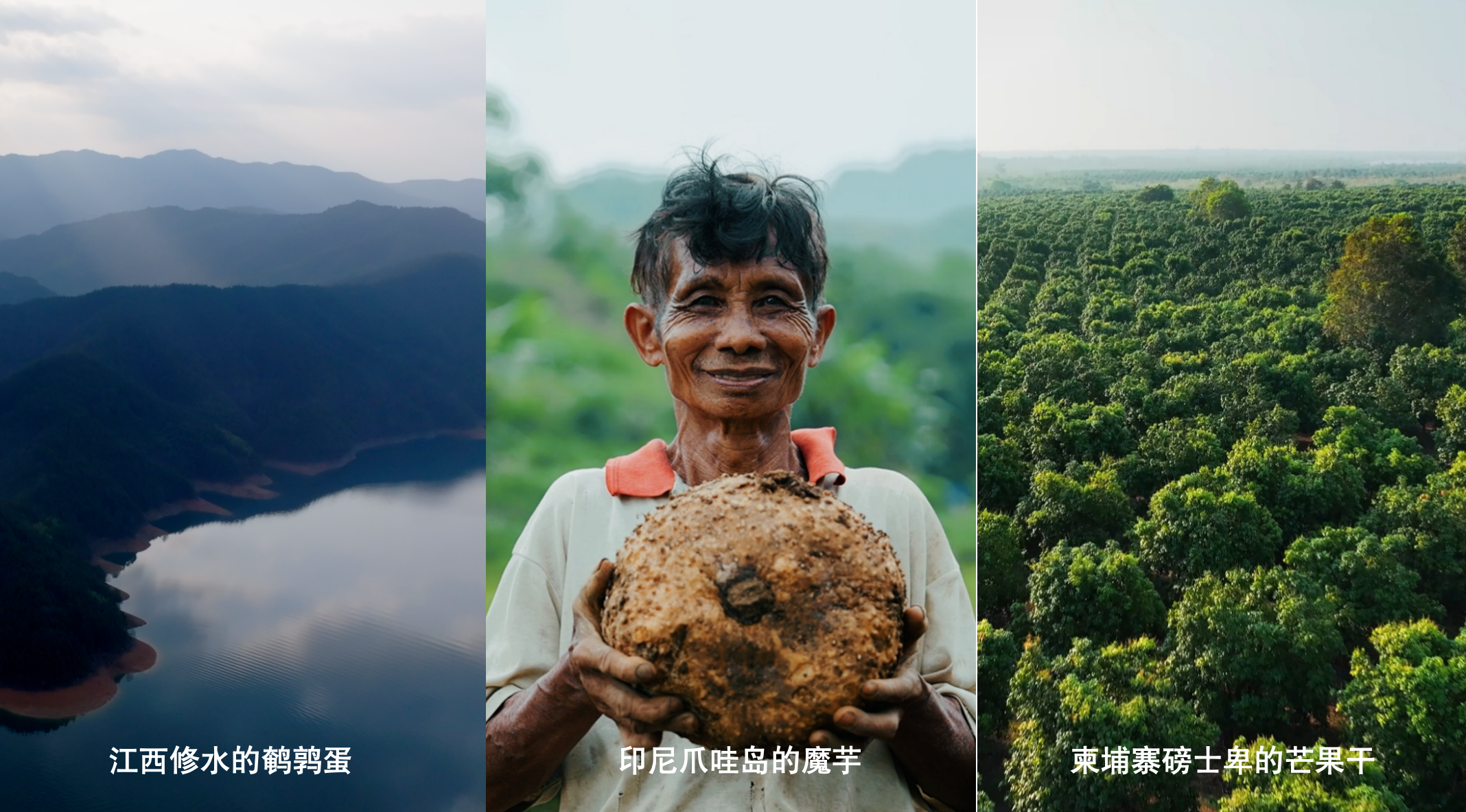 新春家書(shū)|根深則葉茂,心定則路遠(yuǎn) 新春家書(shū)|根深則葉茂,心定則路遠(yuǎn)